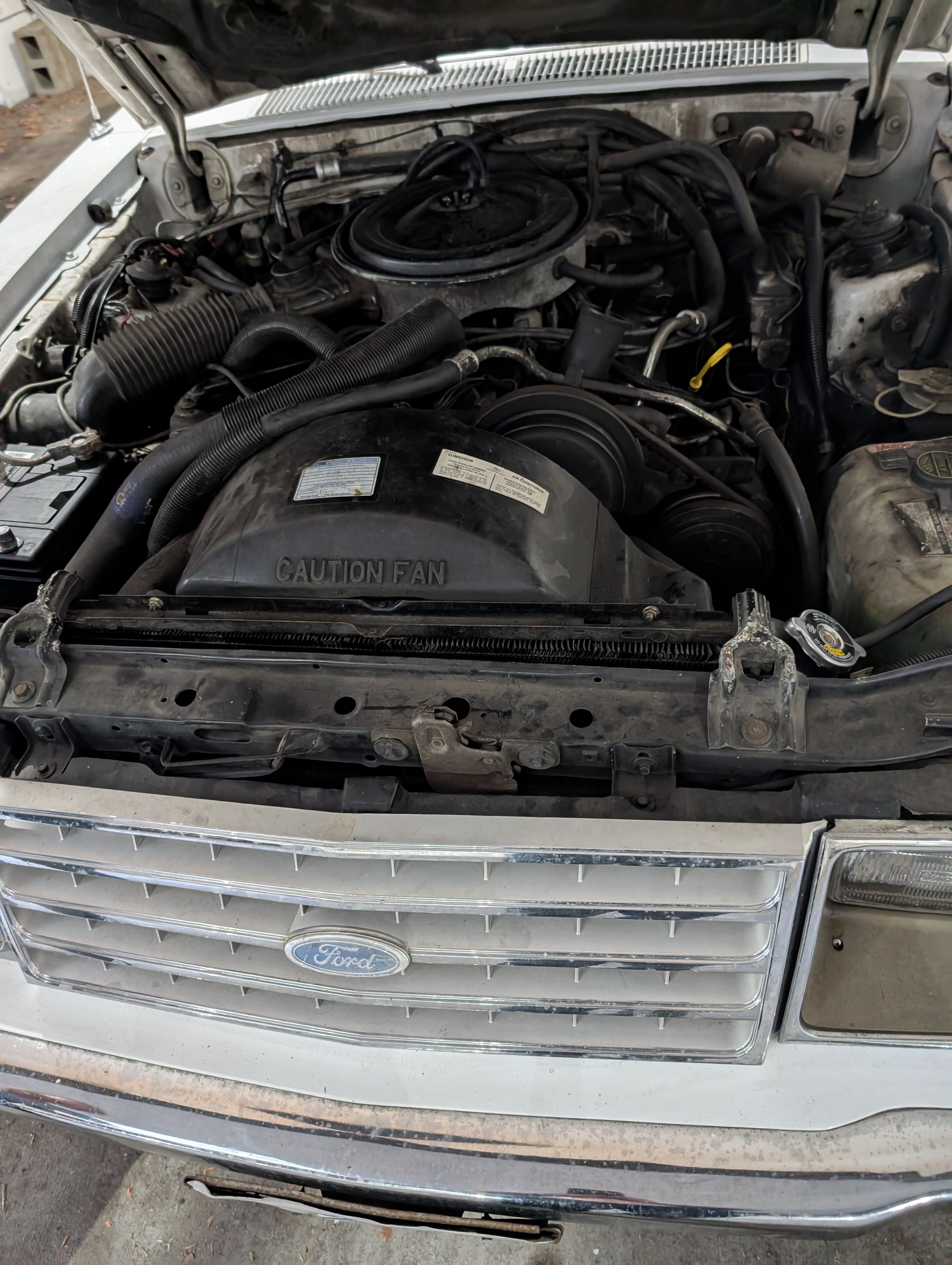 Ford engine bay inspection